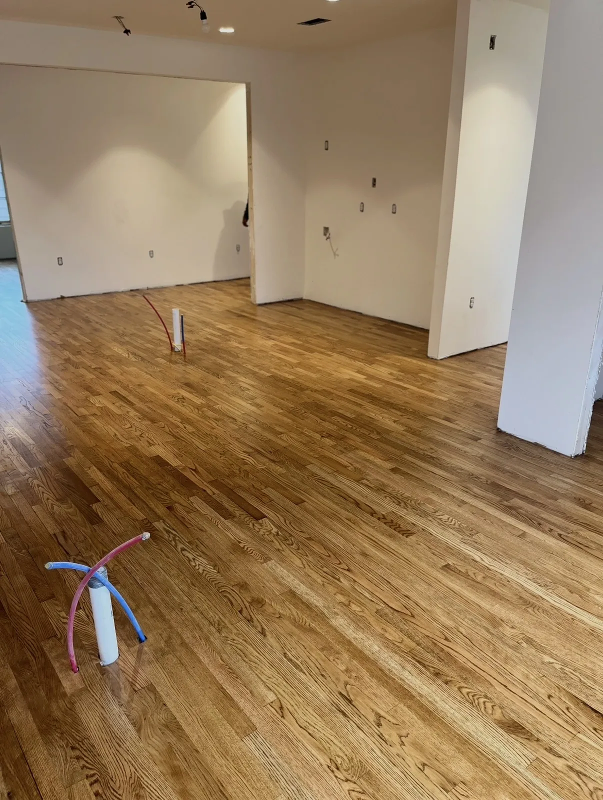 Finished-looking medium-brown hardwood floor with white PVC and red and blue PEX plumbing stubs for an island or vanity